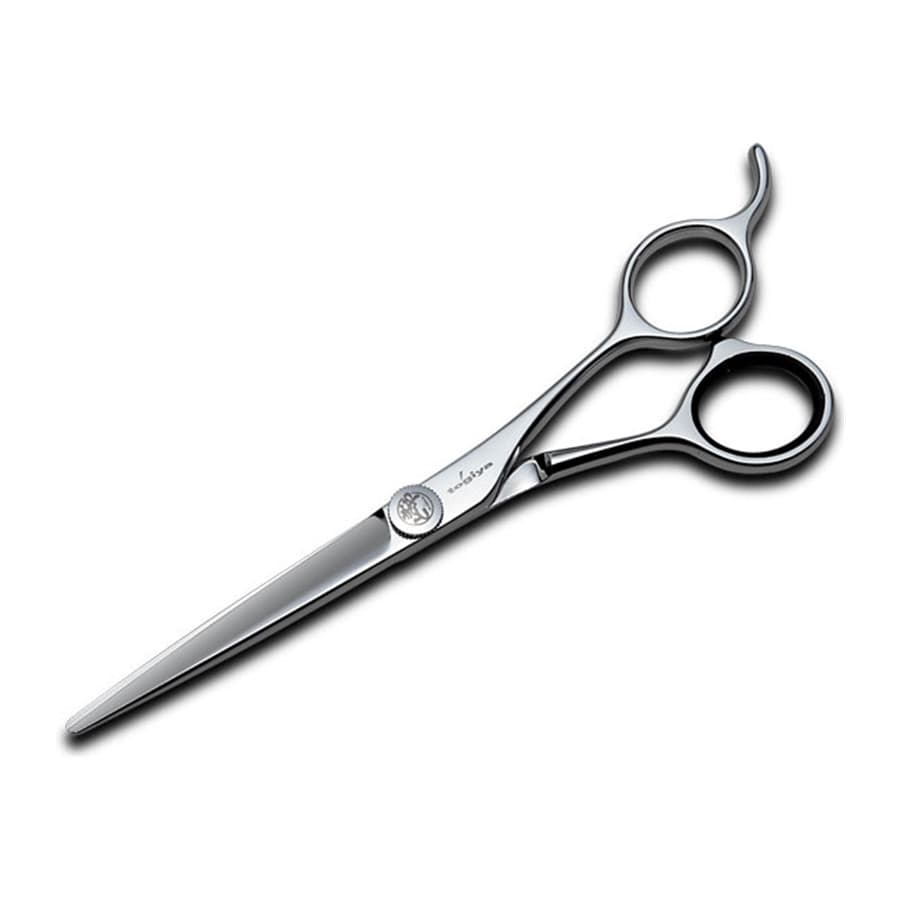 Ciseaux de coiffure Togiya CPC