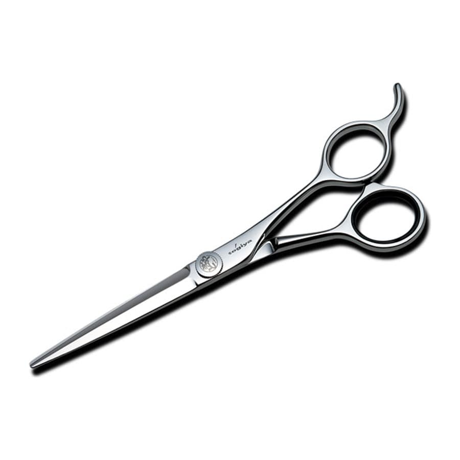 Japanese hairdressing scissors Togiya CPS