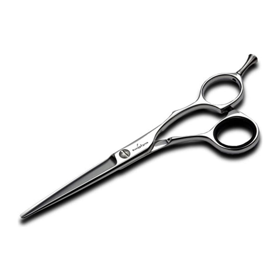 Japanese hairdressing scissors Togiya CSC