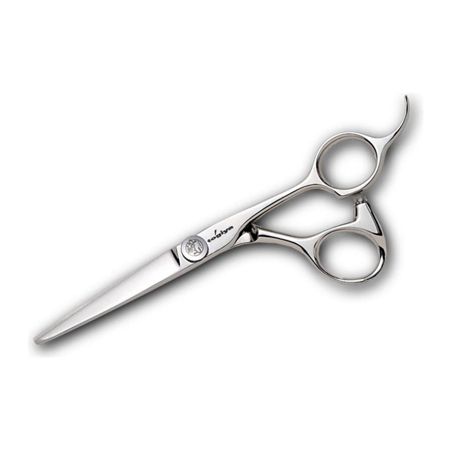 Ciseaux de coiffure Togiya MHC