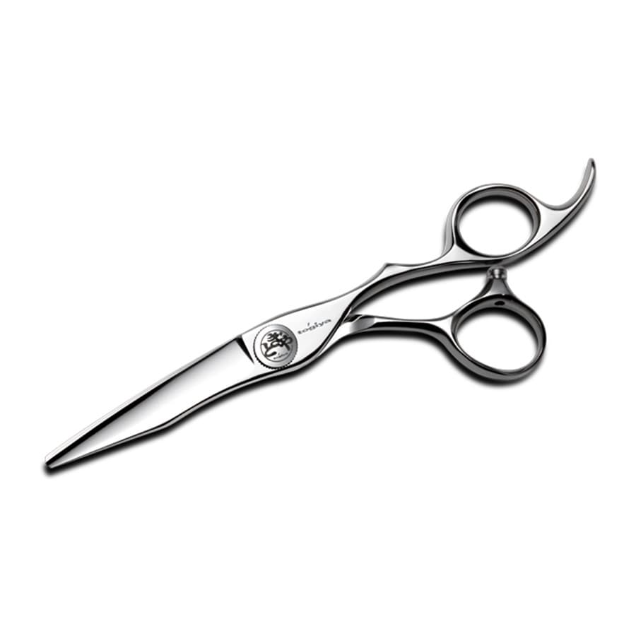 Ciseaux de coiffure Togiya MELODY