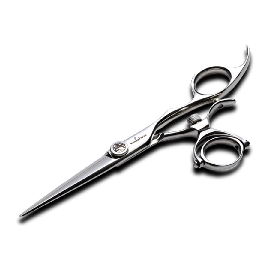 Japanese hairdressing scissors Togiya DSW