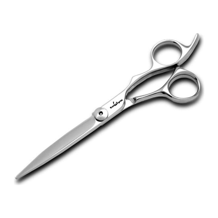 Japanese hairdressing scissors Togiya LOOP